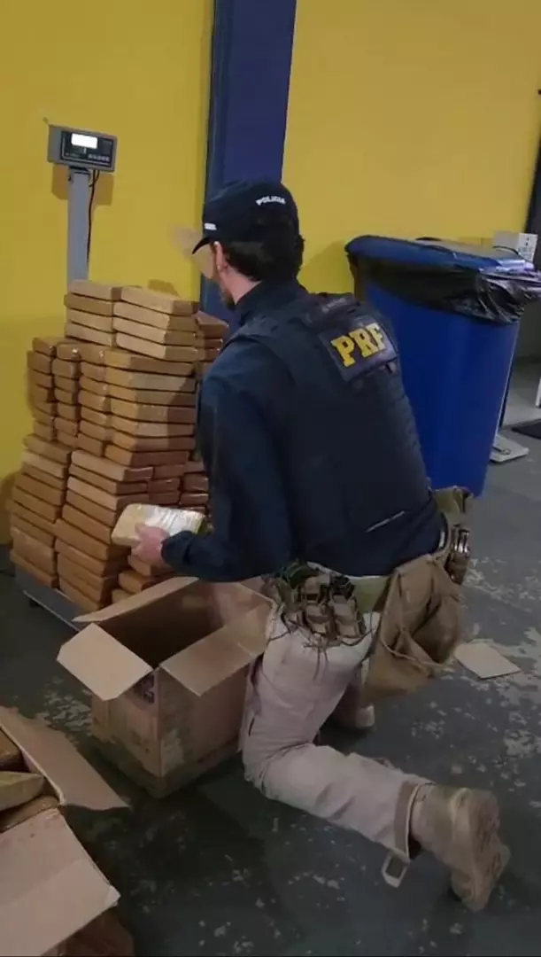 PRF apreende mais de 140 kg de maconha em Mafra